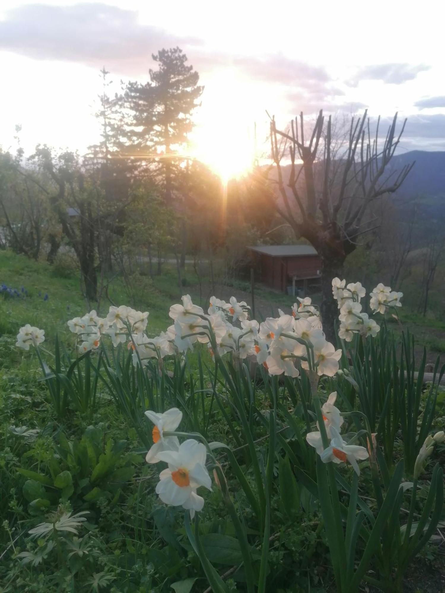 Ca' Dei Ste Bed & Breakfast Valle  Exterior foto